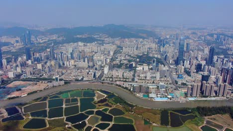 aerial view over shenzhen skyline on a beautiful clear day