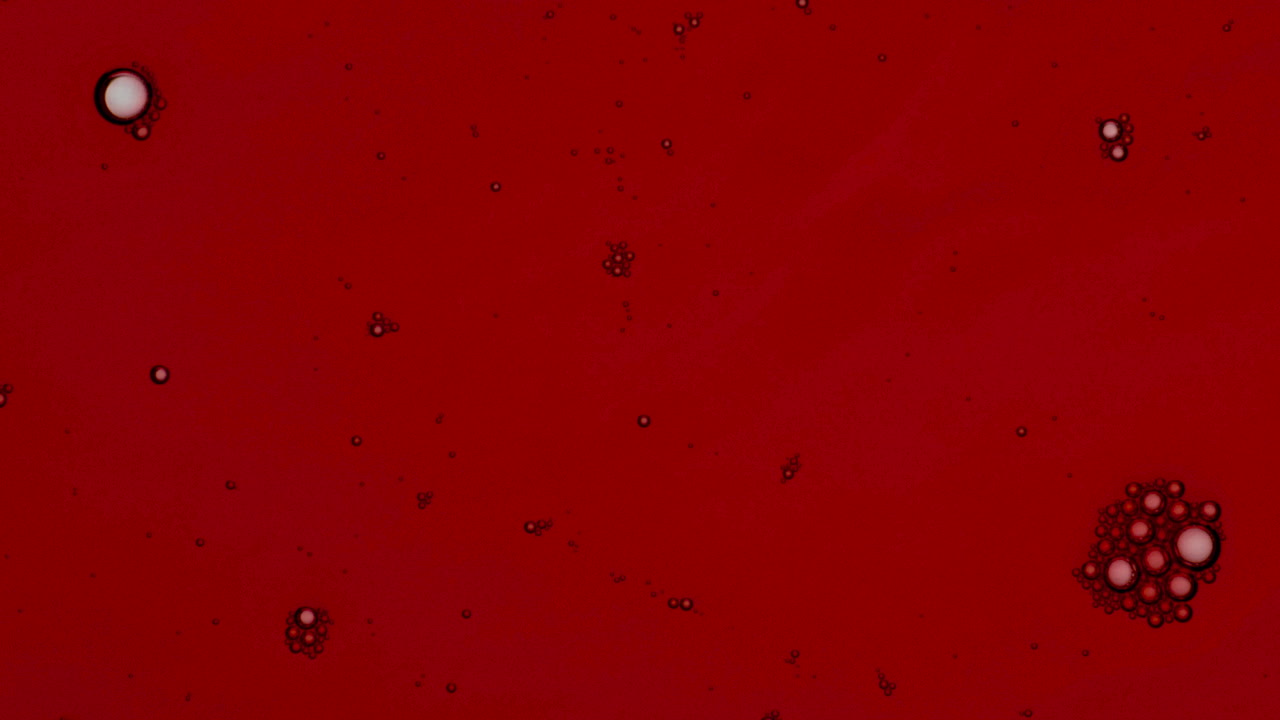 розовое шампанское макродетали крупного плана. свежие пузырьки напитков движутся спокойно