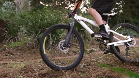 male mountain biker riding in the forest