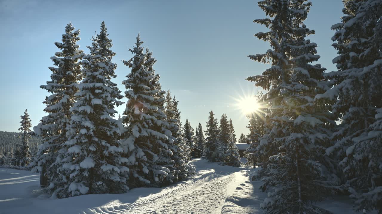 Morgensolen lyser opp en snødekket skogssti på Sjusjøen, Norge, mens en myk panorering avslører uberørt nordisk vinterlandskap