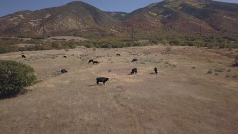capturando hermosas montañas de utah en otoño con cámara aérea