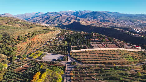 valley, trees and vegetation in mountain area, granada. spain