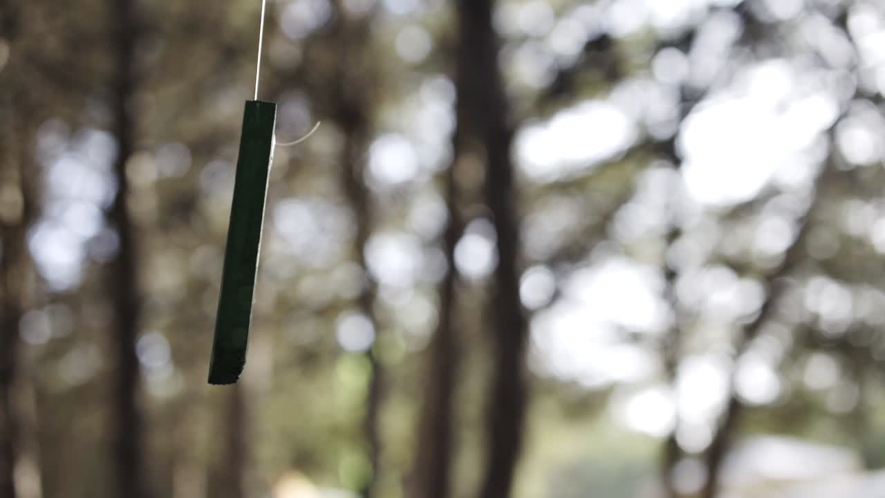 A piece of painted wood swinging in the middle of a forest.
