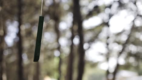 a piece of painted wood swinging in the middle of a forest.