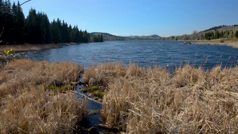 from the edge of beauvais lake in alberta canada during the spring