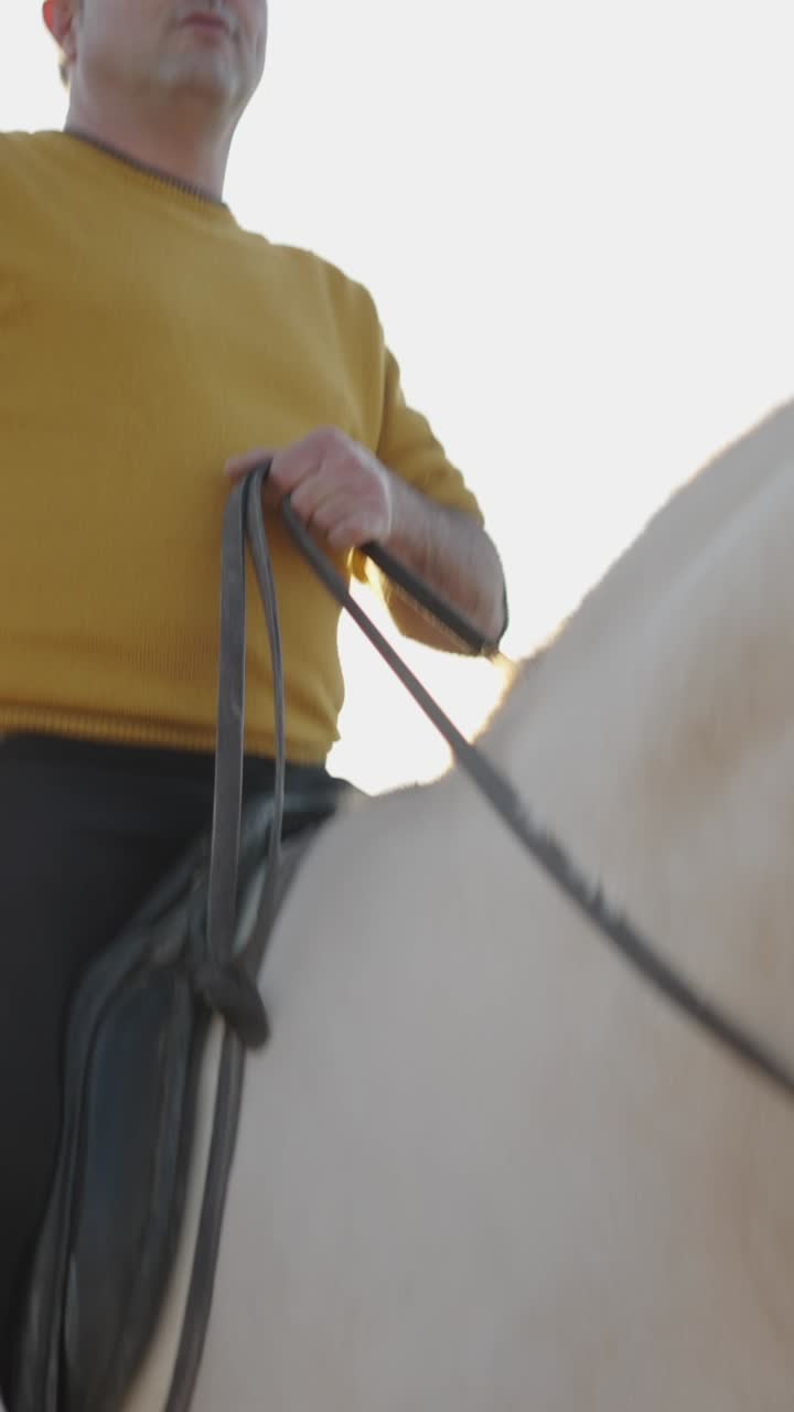 Una persona montando un caballo blanco con un perro