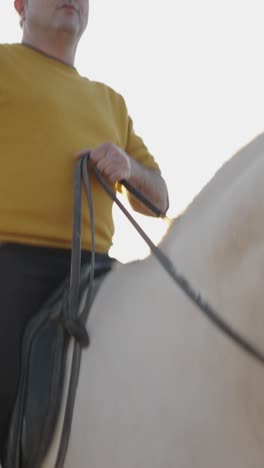 a person riding a white horse with a dog