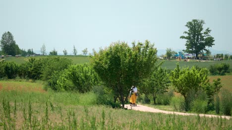 beautiful nature with people strolling in anseong farmland, south korea