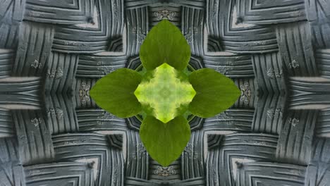 kaleidoscope