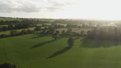 english countryside with fields and hedgerows during sunrise near honiton in east devon, england