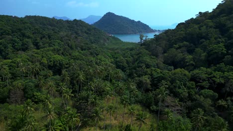 lush double mountain island with beach surrounded by turquoise sea and blue skies. great aerial view flight fly reverse drone