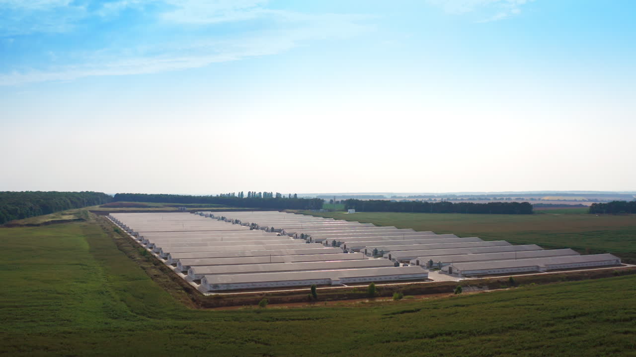 Large-Scale Poultry Farm Aerial View