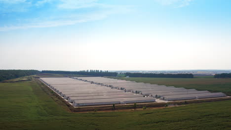 large-scale poultry farm aerial view