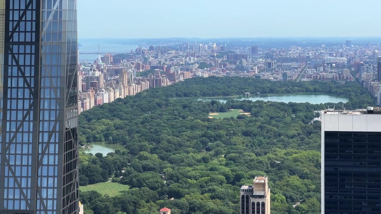 As densas copas das árvores de verão do Central Park preenchem o quadro entre arranha-céus de vidro, com apartamentos do Upper West Side e água distante à vista