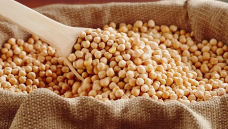 scooping dry chickpeas from a sack