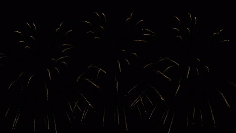 Fireworks-Celebrate