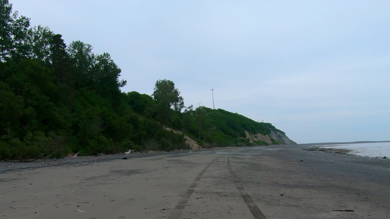 Serene Beach with Cliffs and Lush Greenery