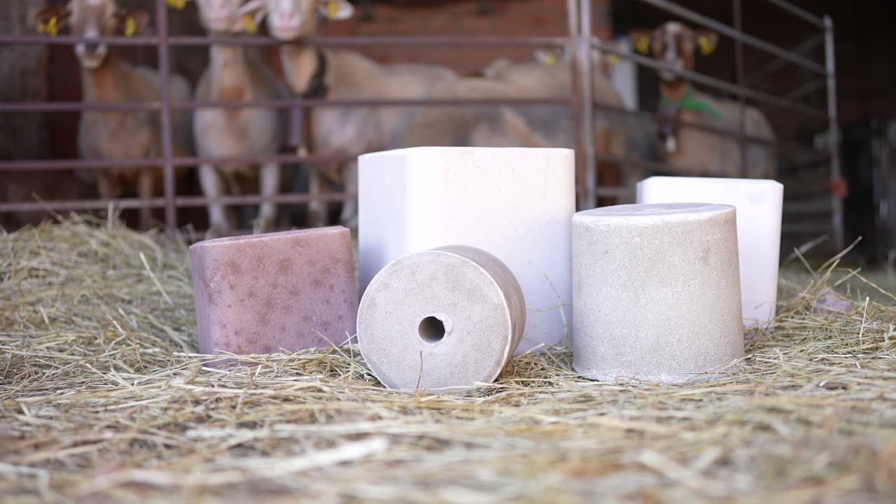 농장 배경에서 동물에 대한 소금 블록