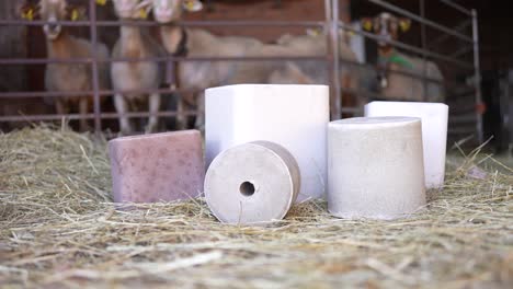 bloques de sal para animales en un fondo de granja