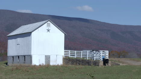 granja en las montañas de los apalaches en otoño con caballo y granero