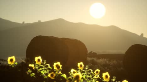 fardos de heno en la puesta de sol