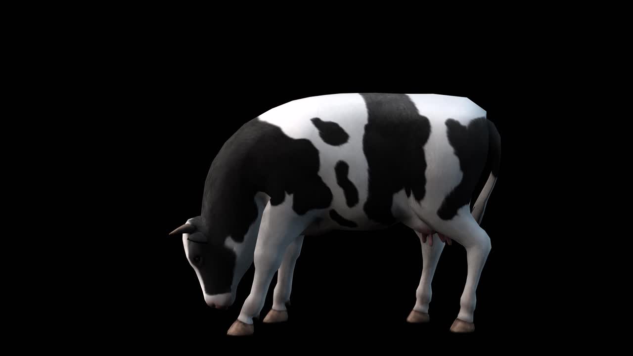una vaca comiendo en fondo negro con canal alfa incluido al final del video, animación 3d, vista lateral, animales animados, animación de bucle sin costuras