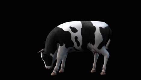 A-cow-eating-on-black-background-with-alpha-channel-included-at-the-end-of-the-video,-3D-animation,-side-view,-animated-animals,-seamless-loop-animation