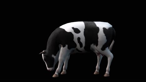 una vaca comiendo en fondo negro con canal alfa incluido al final del video, animación 3d, vista lateral, animales animados, animación de bucle sin costuras