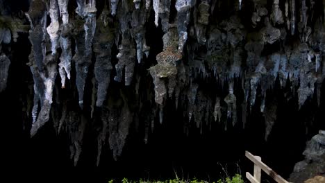 Impresionante-Primer-Plano-Aéreo-De-La-Formación-De-Estalactitas-En-La-Entrada-De-La-Cueva-Rawhiti,-Nueva-Zelanda