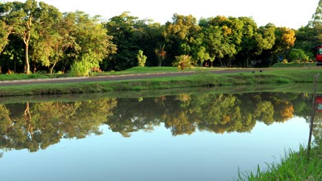 beautiful fishing pond of a preserved natural park in paraguay