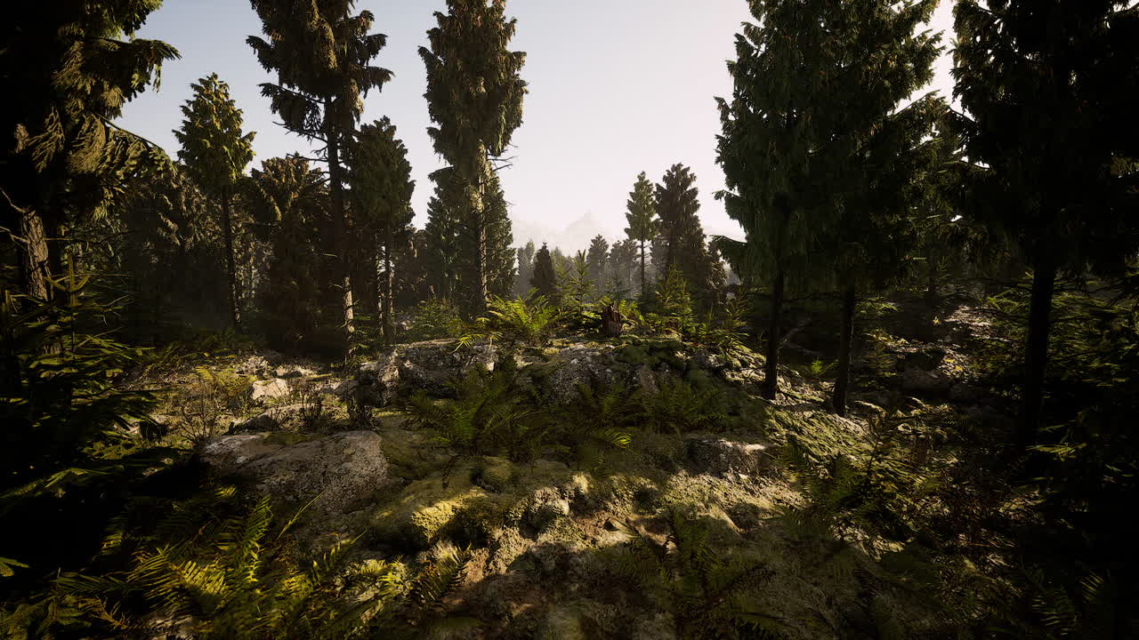 Lush forest landscape in denmark captures serene natural beauty and tranquility