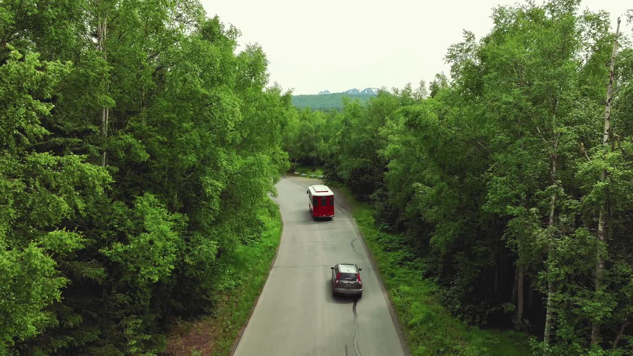 vehículos que circulan por una carretera estrecha entre un espeso bosque verde - toma aérea en cámara lenta
