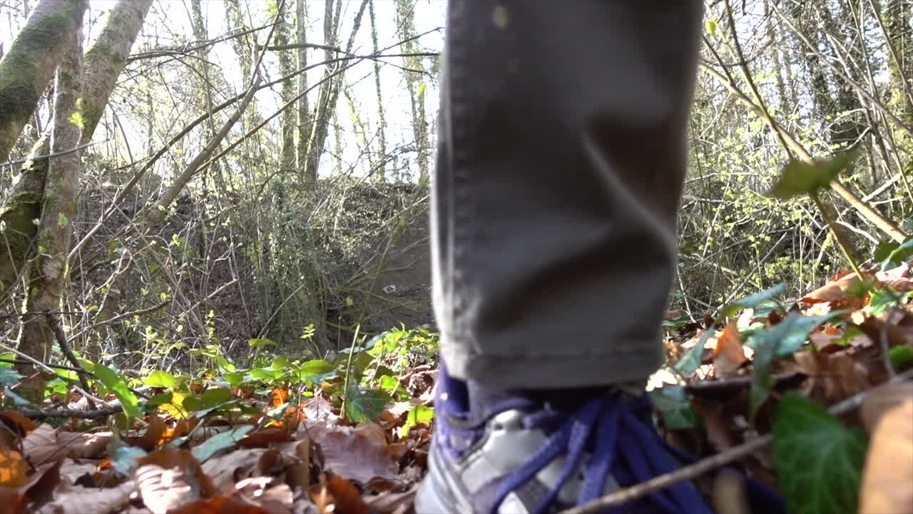 10대가 가을에 스위스 숲을 걷고 있고, 낙엽이 땅에 누워 있다