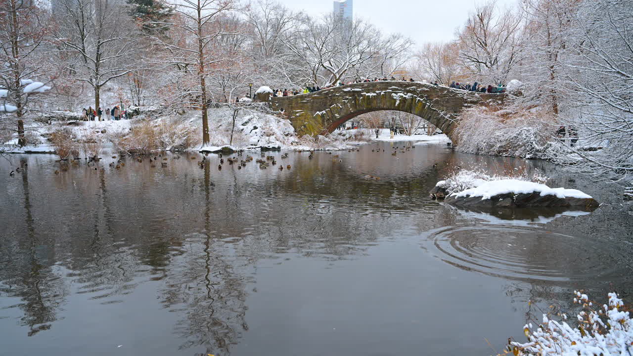 New York, USA, 19 dicembre 2025: Diverse persone si trovano sul ponte pedonale in pietra sopra lo stagno a Central Park, New York, USA. Le anatre sono sullo specchio d'acqua non ghiacciato in inverno