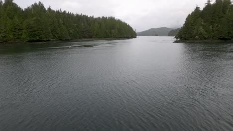 Low-angle-view-from-drone-skimming-above-the-surface-of-calm-water-between-dense-tree-lined-shores-and-forest-of-Vancouver-Island,-BC-near-village-of-Tofino