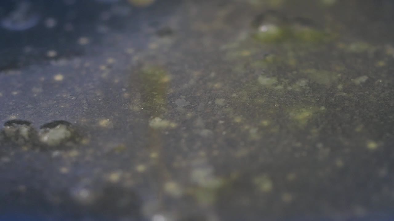 vertiendo aceite en una sartén caliente