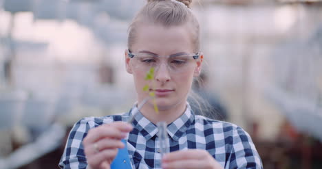 Female-Researcher-Examining-Young-Plant-At-Greenhouse-Food-Production-Concept-1