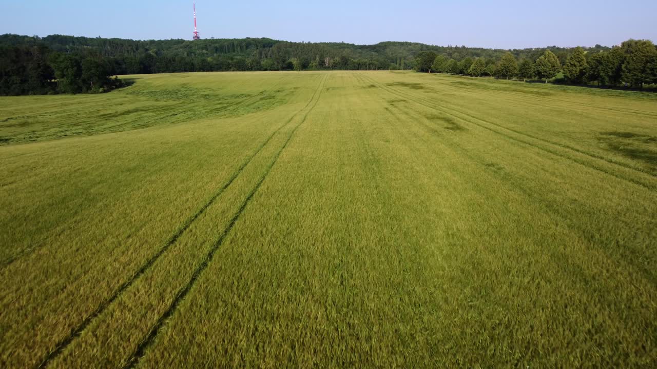 Flying a drone over a cornfield Czech Republic 4K
