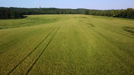 Flying-a-drone-over-a-cornfield-Czech-Republic-4K