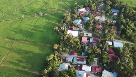 aerial beautiful shadow of tree over malays village