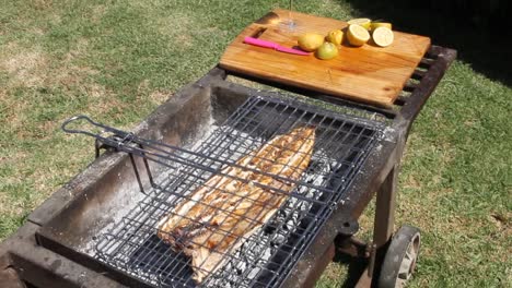 Fisch-Wird-Auf-Dem-Feuer-Gegrillt