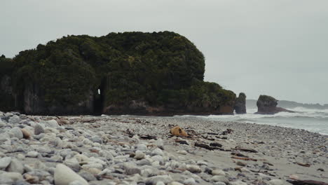 rocky beach with forested cliffs and waves