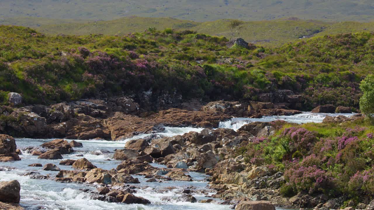 Clear daylight captures fast-moving river rapids, rocky banks, wildflowers, and green hills, static camera