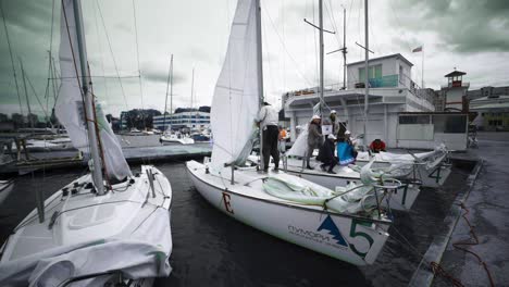 sailboats in a marina