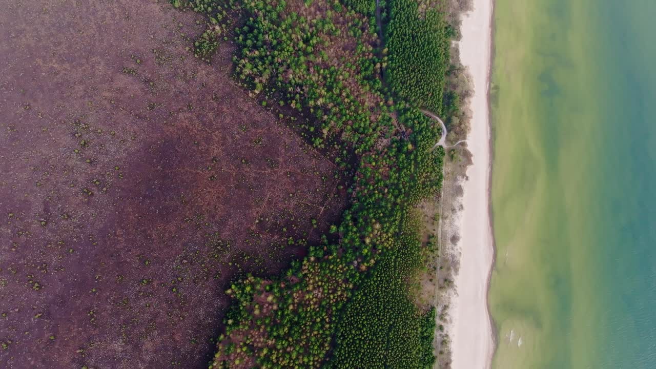 Foto aerea dall’alto al tramonto con drone sulla palude di Nida e sul Mar Baltico, Lettonia