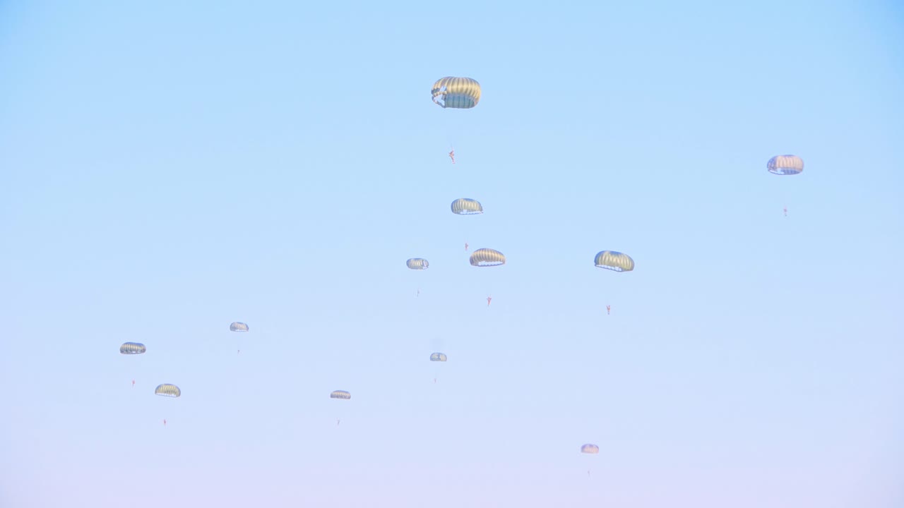 Multiple parachutists descending during the Airborne Ede event, Ginkelse Heide. The clear blue sky frames the parachutes as they gracefully drift downward, showcasing the excitement of the mass drop
