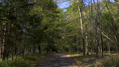 sendero para caminar en el parque local