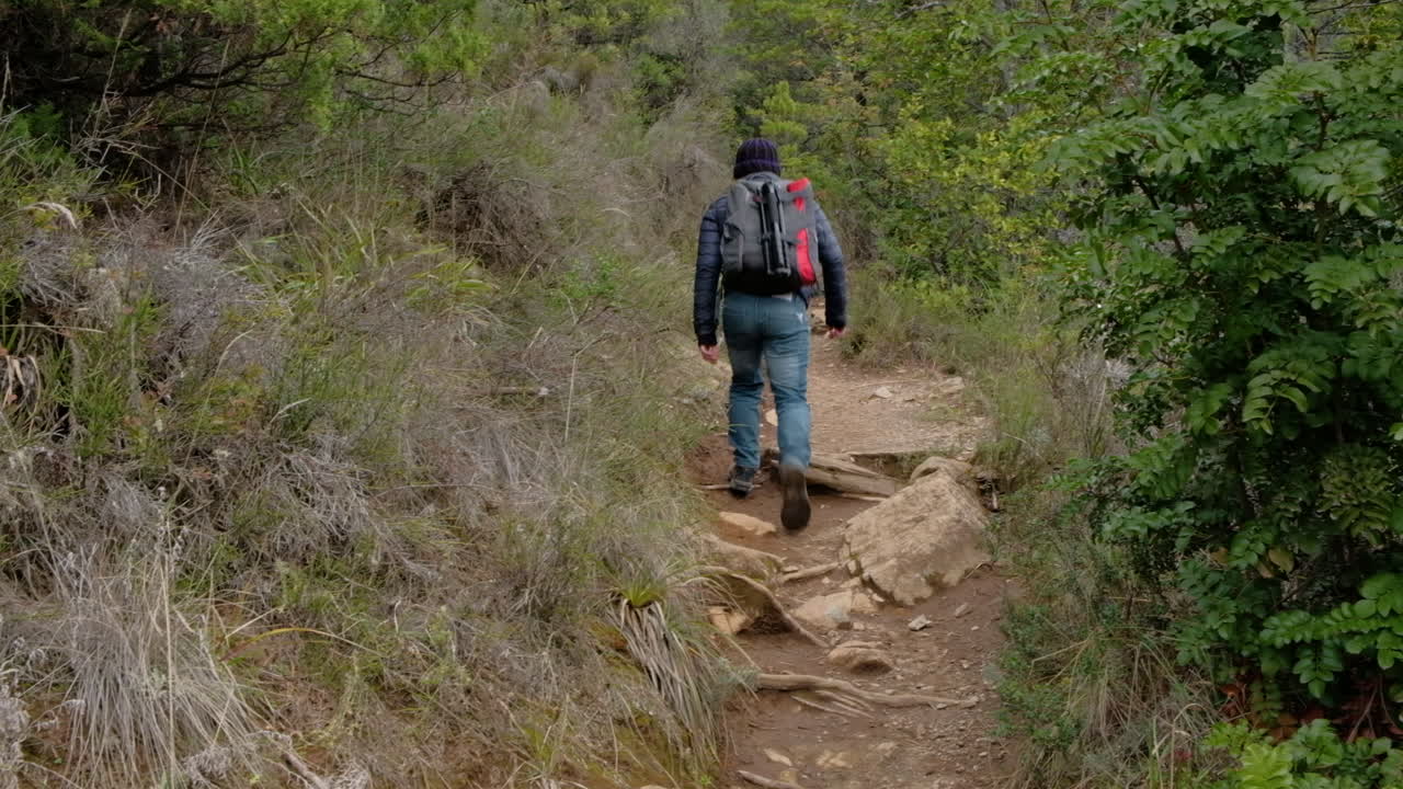 hombre fotógrafo excursionista con mochila y trípode caminando por un sendero rodeado de bosque verde alejándose de la cámara
