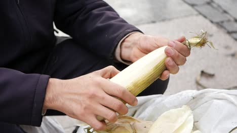 a man is shucking corn