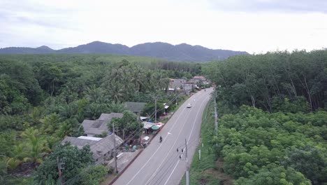 road surrounded with lush vegetation in phuket, thailand - aerial drone shot